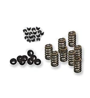 Lloyd’z High Lift Valve Spring kit for Victory